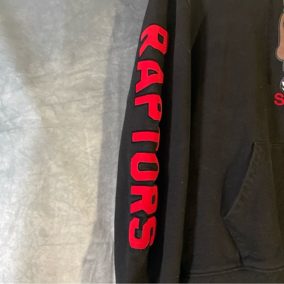 Pro Standard Toronto Raptors Scottie Barnes #4 Hoodie M Embroidered Limited Run - Picture 3 of 10